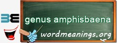 WordMeaning blackboard for genus amphisbaena